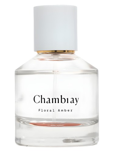 Chambray by Madewell