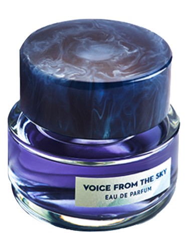 Voice From The Sky by Voice From The Sky