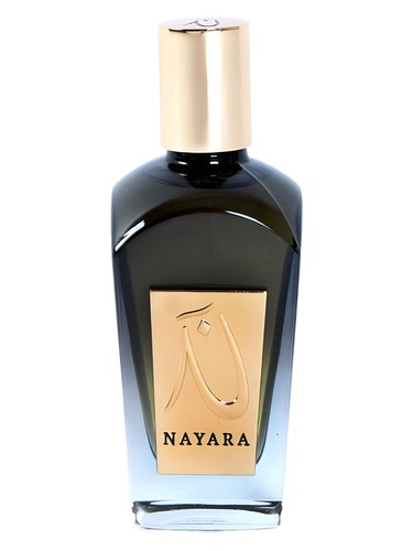 I am not Sorry by Nayara