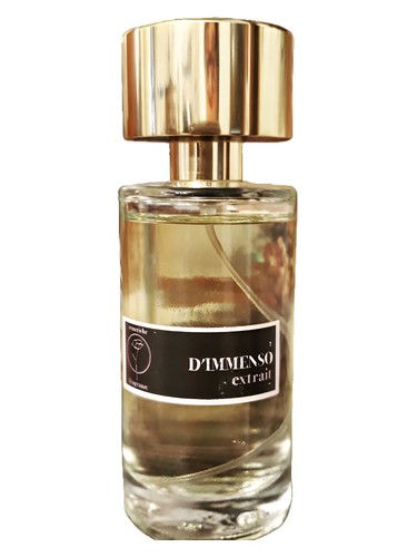 D'Immenso by Ermetiche Fragranze