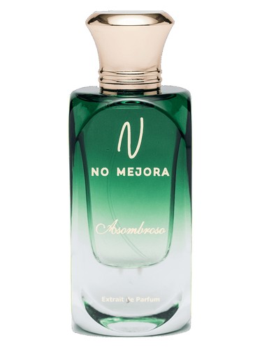 Asombroso by No Mejora