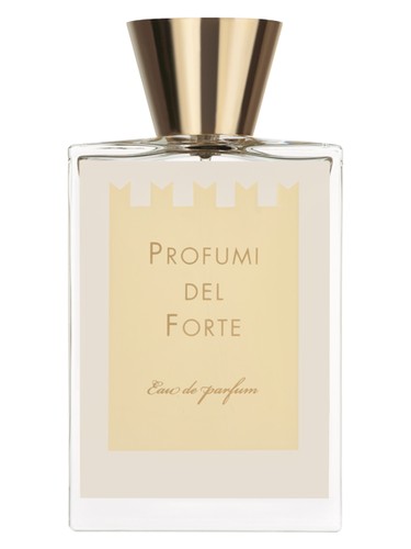 Ambra Mediterranea (Versilia Vintage Ambra Mediterranea) by Profumi del Forte