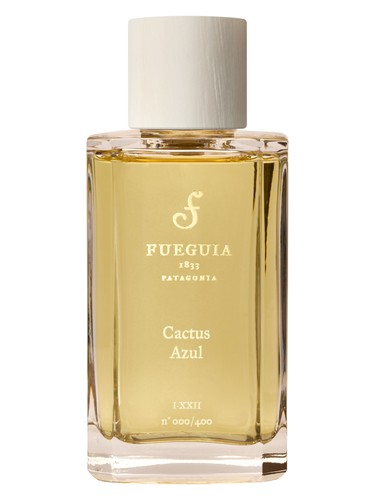 Cactus Azul (new) by Fueguia 1833