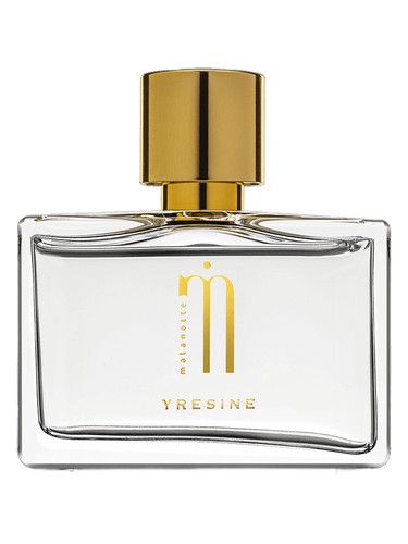 Yresine by Malanotte