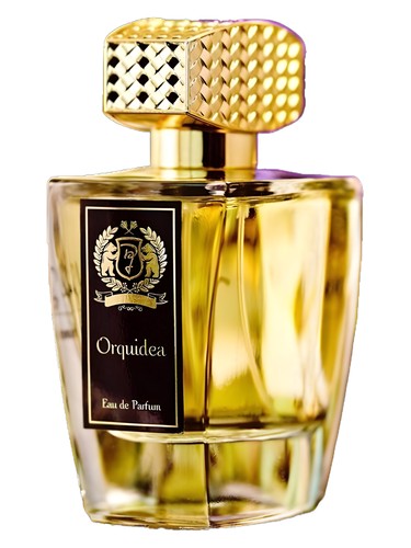 Orquidea by Daniel Josier