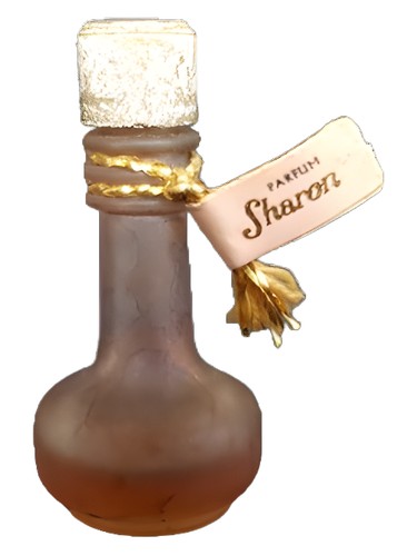 Sharon by Judith Muller