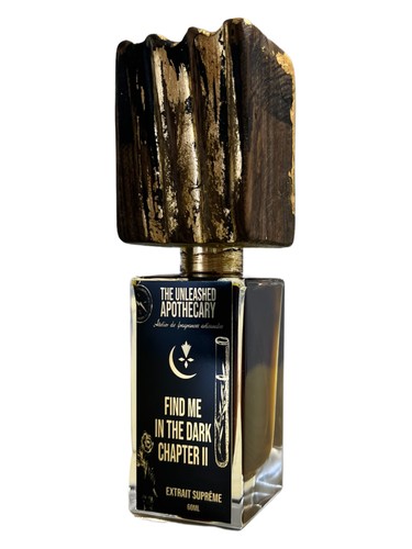 Find Me In The Dark Chapter II by The Unleashed Apothecary