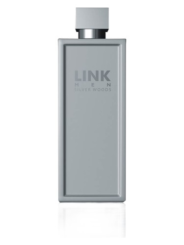 Silver Woods by LINK