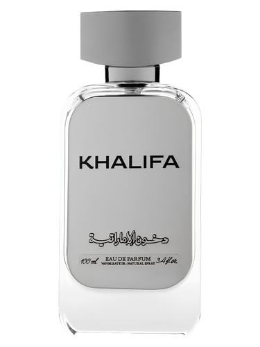 Sheikh Khalifa by Dkhoon Emirates