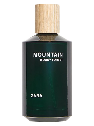 Mountain Woody Forest by Zara