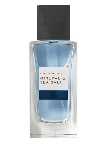 Mineral & Sea Salt Bath & Body Works cologne by Bath Body Works