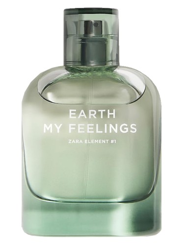 Earth My Feelings by Zara