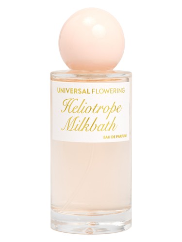 Heliotrope Milkbath by Universal Flowering