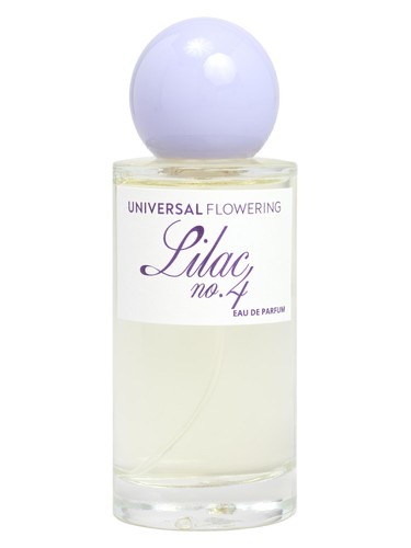 Lilac No.4 by Universal Flowering