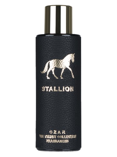 Stallion X Aslan Gülçiçek by CZAR