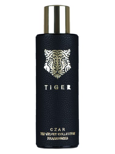 Tiger X Aslan Gülçiçek by CZAR