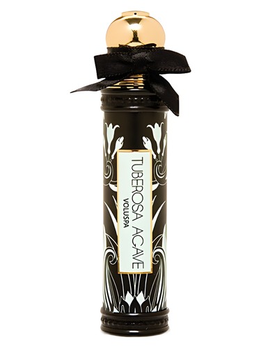 Tuberosa Agave by Voluspa