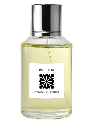 Fico Mediterraneo by Essentia Puglia