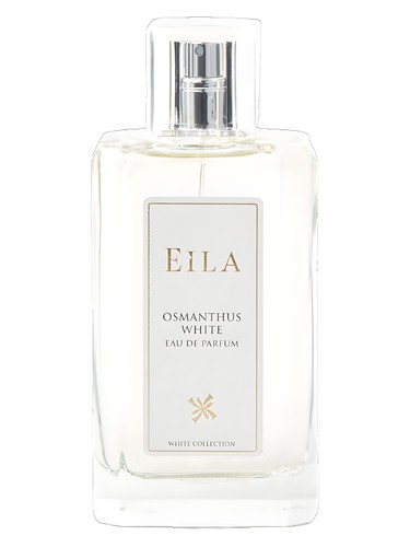 Osmanthus White by Eila