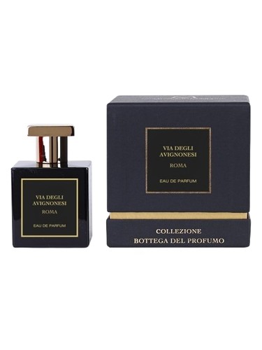 Via degli Avignonesi Roma by Marcoccia