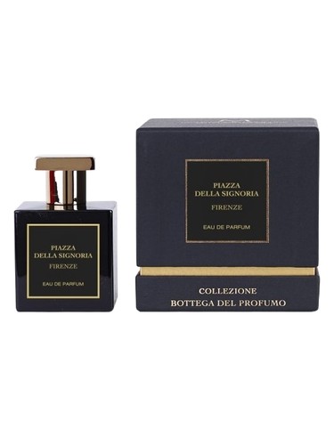 Piazza della Signoria Firenze by Marcoccia