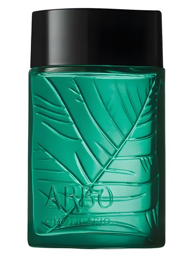 Arbo Intenso O Boticário cologne by O Boticario