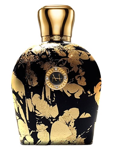 Amber Arabesque by Moresque