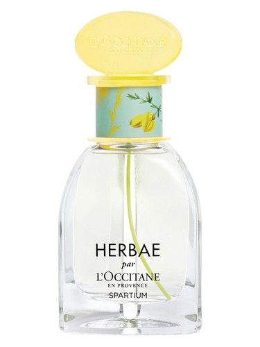 Herbae Spartium L'Occitane en Provence perfume by L Occitane en Provence