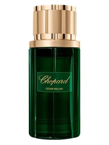 Cedar Malaki by Chopard