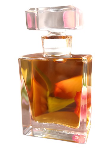 Rosa by Roxana Illuminated Perfume