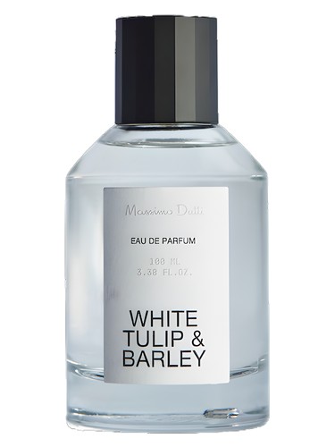 White Tulip & Barley by Massimo Dutti