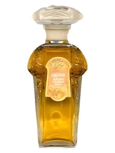 Lauris Sauzé perfume by Sauze