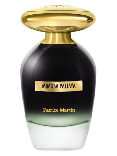 Mimosa Pattaya by Patrice Martin