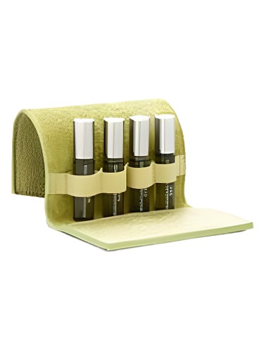 Madagarcar Orchid by Lisa Hoffman