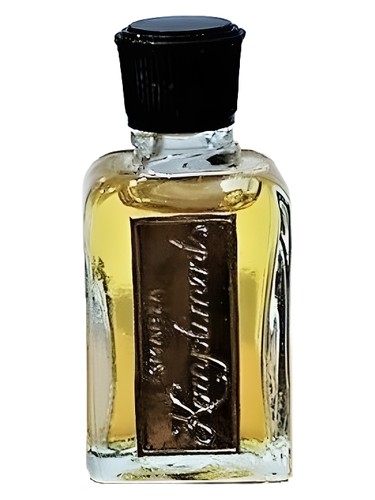 Kompliments by Dzintars