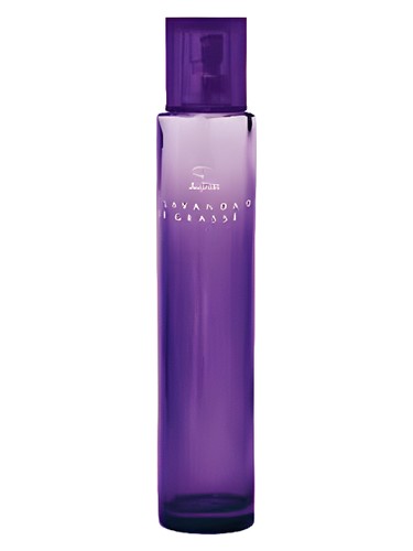 Lavanda de Grasse by Jequiti