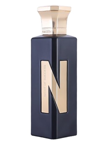 Night of Success by Naseem