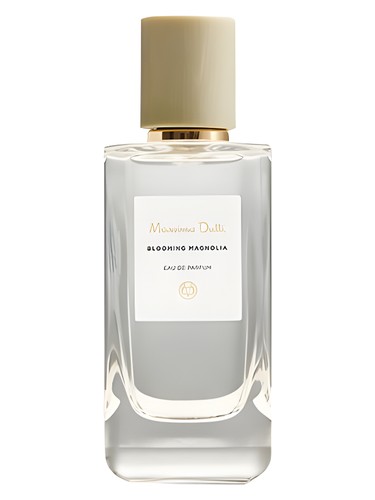 Blooming Magnolia by Massimo Dutti