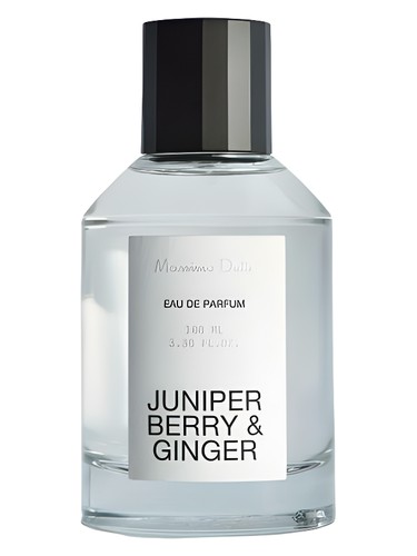 Juniper Berries & Ginger by Massimo Dutti