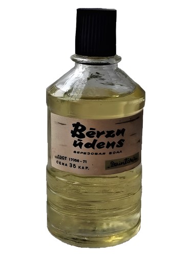 Bērzu ūdens (Берёзовая вода) by Dzintars