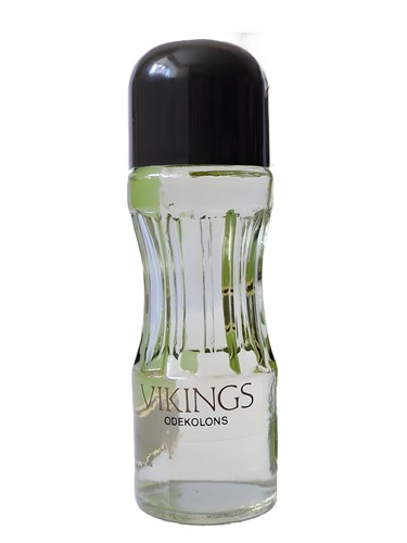 Vikings (Викинг) by Dzintars