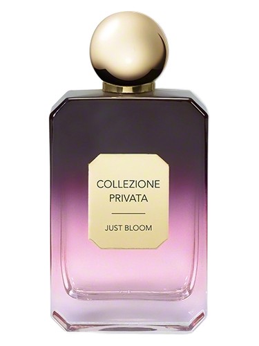 Just Bloom by Valmont