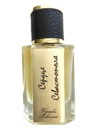 Heart of Sevastopol (Сердце Севастополя) by Kamila Robinson