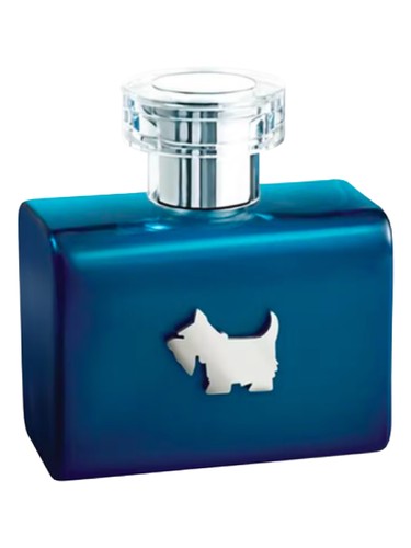 Terrier Blue by Ferrioni