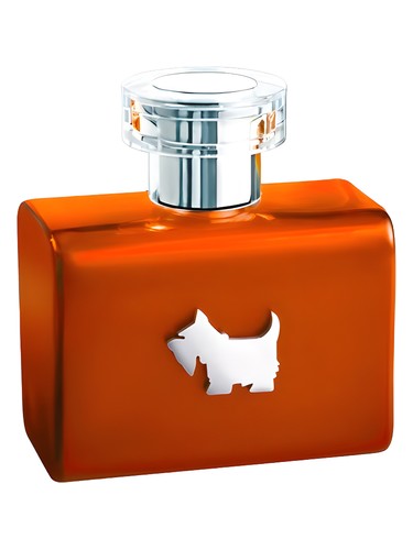 Terrier Orange by Ferrioni