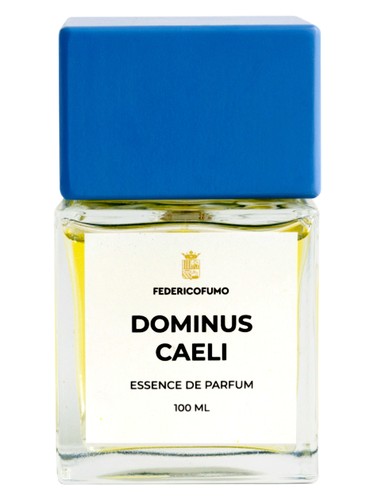 Dominus Caeli by Federico Fumo