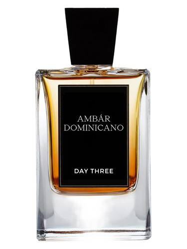 Ámbar Dominicano by Day Three