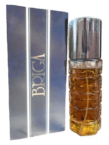 Briga (1982) by Dzintars