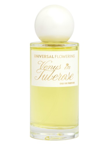 Venus in Tuberose by Universal Flowering