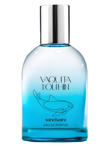 Vaquita Dolphin by Sanctuary